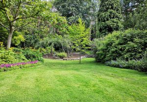 Optimiser l'expérience du jardin à Valdieu-Lutran